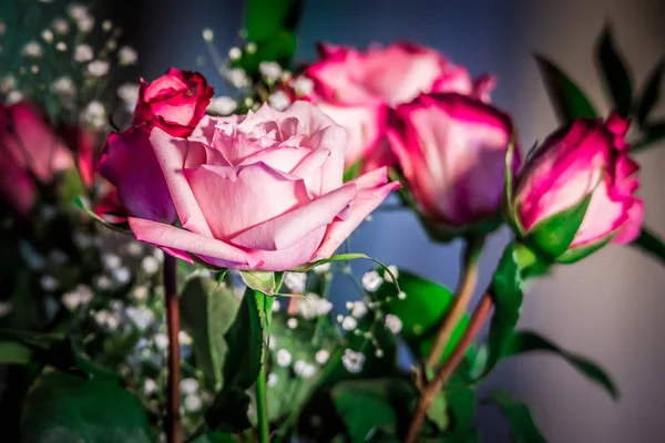 Red Roses Bouqet Table Indoors — Stock Photo, Image