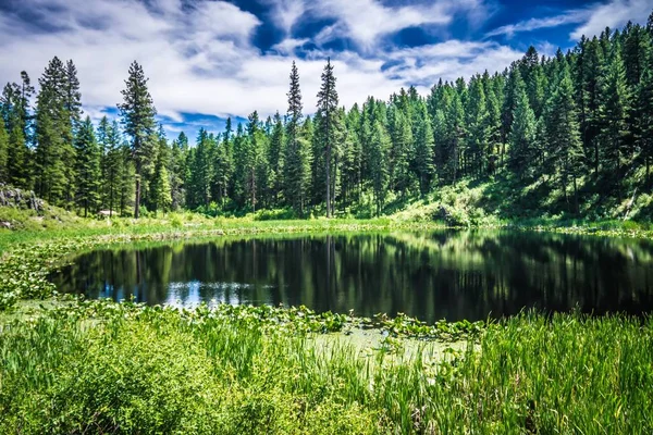 Panorami Naturali Intorno Fiume Spokane Washington — Foto Stock