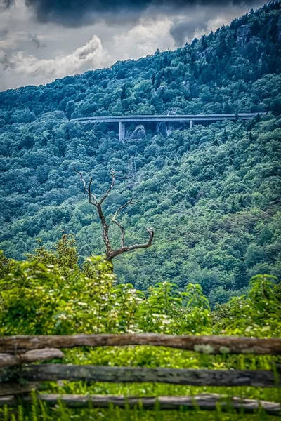 Krásný Výhled Hrubší Ridge Severní Karolíně Přehlédnout — Stock fotografie