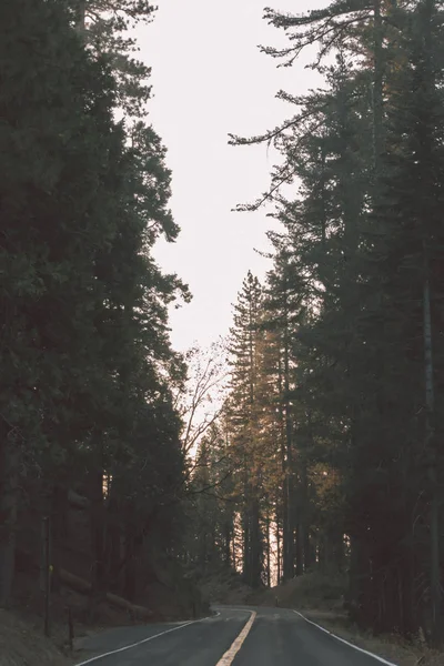 Γραφική Φιδωτό Δρόμο Μέσα Από Εθνικό Πάρκο Yosemite — Φωτογραφία Αρχείου