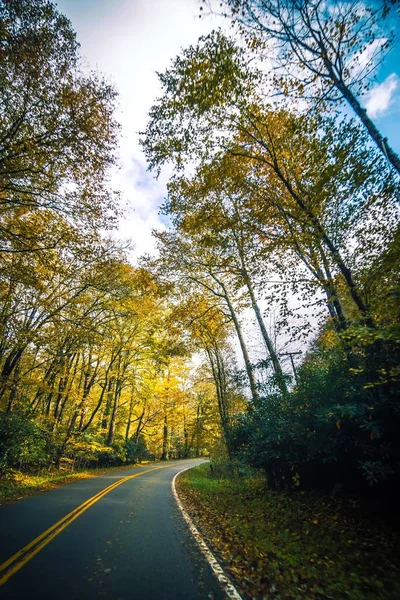 ダマスカスで紅葉の季節に囲まれた道路バージニア — ストック写真