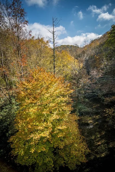 Natursköna Vyer Längs Virginia Creeper Trail — Stockfoto
