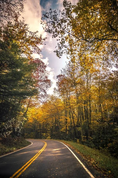 Caminos Rodeados Hojas Otoño Temporada Damasco Virginia —  Fotos de Stock