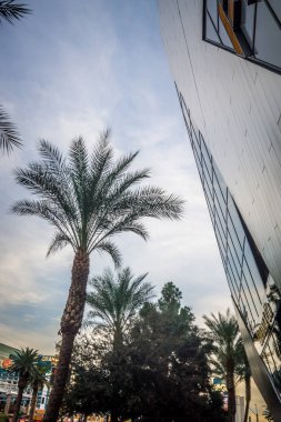 modern tarzı mimarisi ve binada las vegas nevada