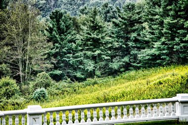 Yaz aylarında Blue ridge Dağları doğa