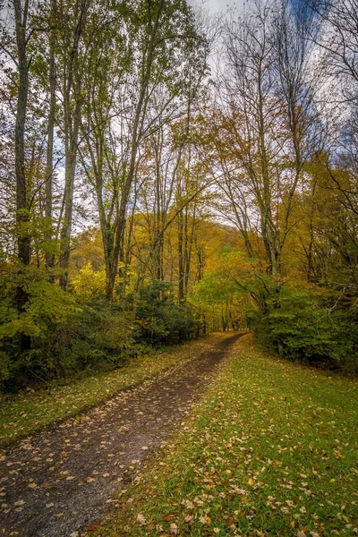 Scenic Views Virginia Creeper Trail — Stock Photo, Image