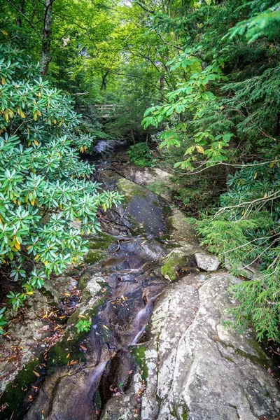 粗糙的山脊俯瞰观景区关闭蓝色山脊公园线风景 — 图库照片