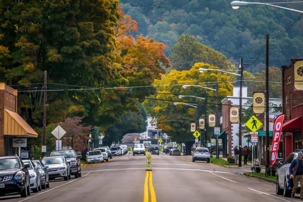Silnice Obklopená Listí Podzimu Damašku Virginia — Stock fotografie