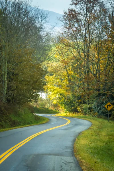 Estradas Cercadas Por Folhas Outono Temporada Damasco Virginia — Fotografia de Stock