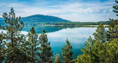 Montana'da bir göl etrafında güzel doğa