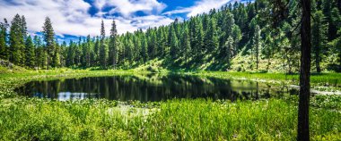 nature scenics around spokane river washington clipart