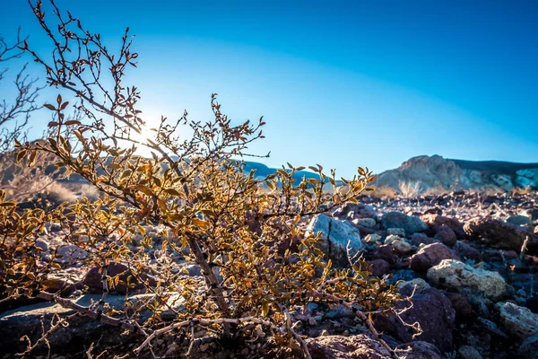 Death Valley National Park Scenes California — Stock Photo, Image