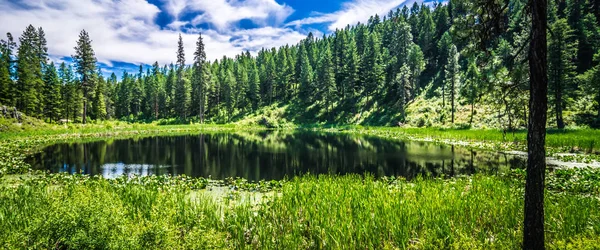 Panorami Naturali Intorno Fiume Spokane Washington — Foto Stock