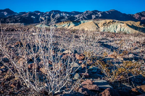 Vallée Mort Scènes Parc National Californie — Photo