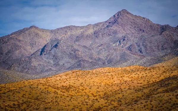 Ландшафт Каньона Красный Рок Вблизи Лас Вегаса Невада — стоковое фото
