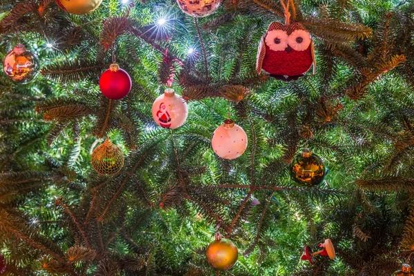 Live christmas tree decorated for holidays — Stock Photo, Image