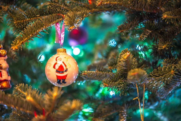Ζωντανό χριστουγεννιάτικο δέντρο διακοσμημένο για τις διακοπές — Φωτογραφία Αρχείου