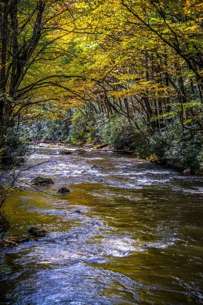 Sonbaharda virginia creeper iz boyunca manzarası — Stok fotoğraf