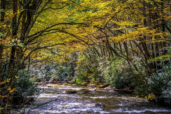 Views along virginia creeper trail during autumn — Stock Photo, Image