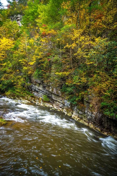 Sonbaharda virginia creeper izi pitoresk sahne — Stok fotoğraf