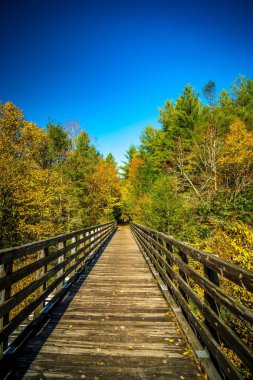 manzaralar asması izi boyunca