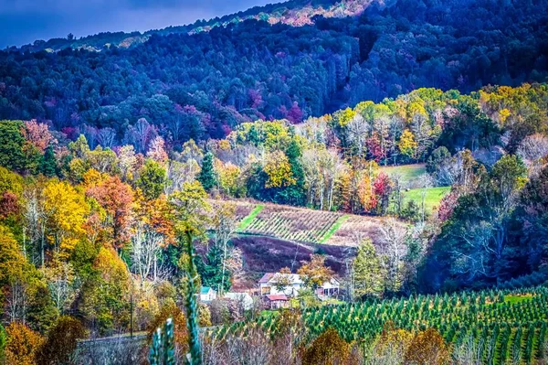 Pejzaże w Boone North Carolina Mountains — Zdjęcie stockowe