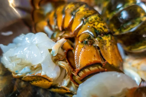 Queues de homard crues propres préparées pour la cuisson — Photo