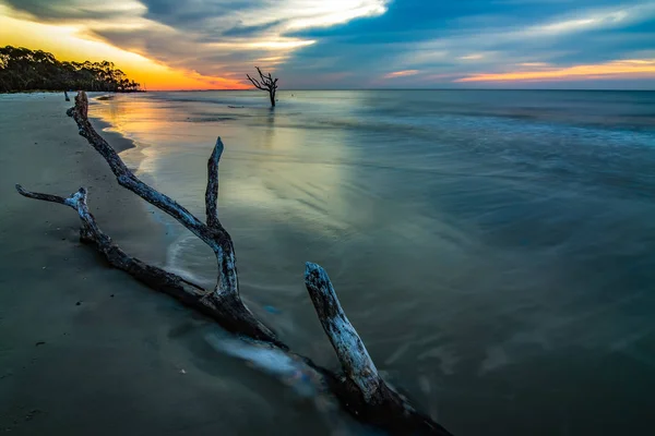 Belle nature sur l'île de chasse carolina du sud — Photo