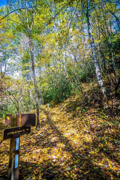 Scenic views along virginia creeper trail — Stock Photo, Image