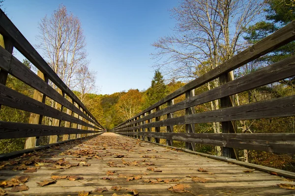 Natursköna vyer längs virginia creeper trail — Stockfoto