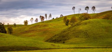 batı virginia pitoresk sonbahar manzara