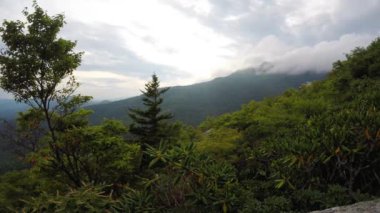 Kaba sırt blue ridge parkway kapalı izleme alanına bakan