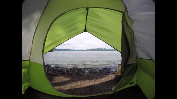 サウスカロライナ州ジョカシー湖の美しい自然風景 — ストック動画