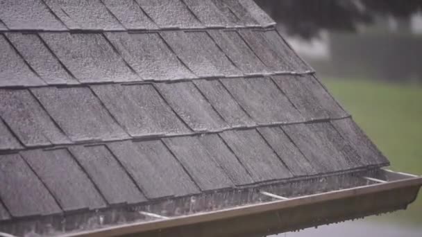 Fuerte Lluvia Que Cae Tormenta Que Pasa — Vídeo de stock