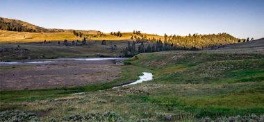 Sabah doğa sahneleri Hayden Valley 'de Yellosone Wyoming' de