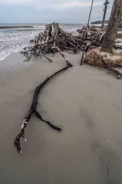 av adası güney Carolina plaj sahneleri