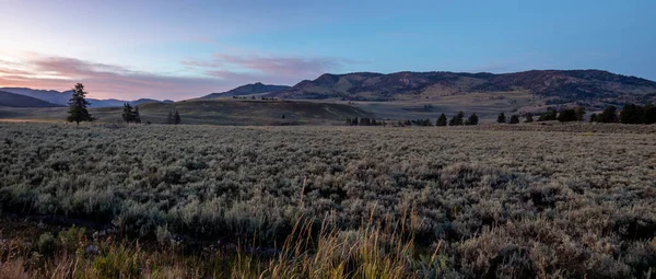 Scény kolem Hayden Valley v Yellowstonu — Stock fotografie