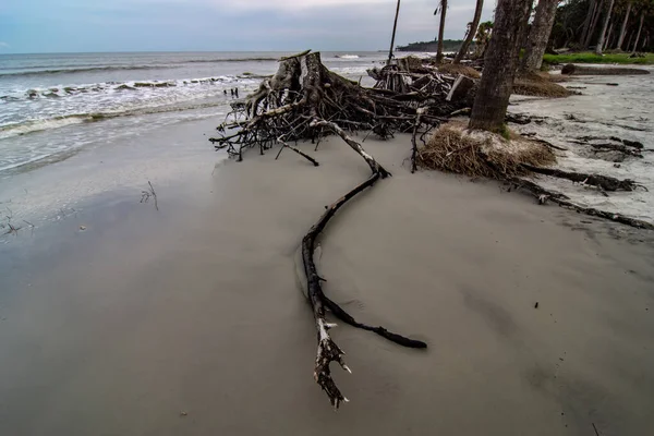 Jacht eiland zuid Carolina strand scènes — Stockfoto