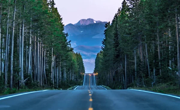 Road through forest leading to grand tetons — 스톡 사진