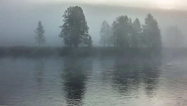 Mañana naturaleza escenas en hayden valle yellostone wyoming — Foto de Stock