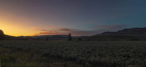 Yellowstone 'daki Hayden Vadisi' ndeki sahneler — Stok fotoğraf