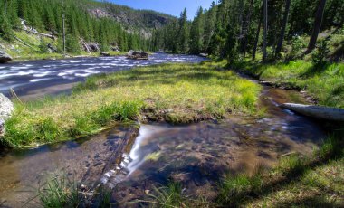 Yellowstone Wyoming 'deki Obsidian Creek Nehri