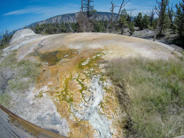 Yellostone national park wyoming mammoth springs landscape — Stock Photo, Image