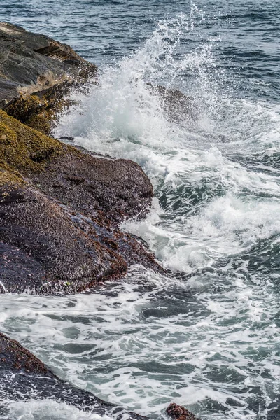 罗德岛纽波特的海岸线 — 图库照片