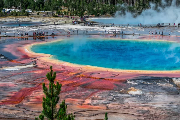 Światowej sławy Wielka Pryzmatyczna Wiosna w Yellowstone National Par — Zdjęcie stockowe