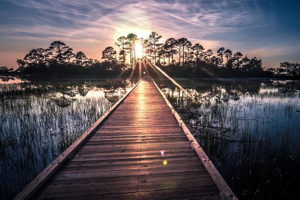 Hunting island south carolina beach scenes — Stock Photo, Image