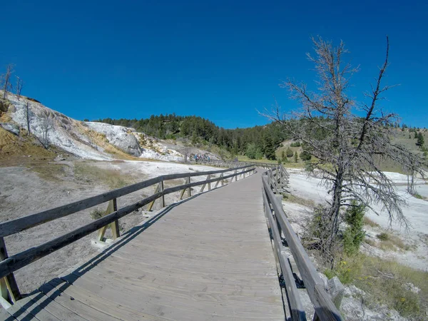 Yellostone national park wyoming mammoth springs landscape — Stock Photo, Image