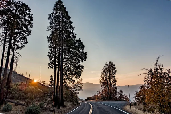 Дорога через национальный парк Йосемити рано утром — стоковое фото