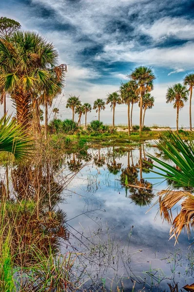Reflexões de palmeiras na ilha de caça carolina do sul — Fotografia de Stock