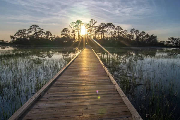 Hunting island south carolina beach scenes — Stock Photo, Image